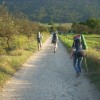 Dobiehame na vlak